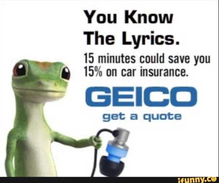 Geico Auto Insurance Quotes